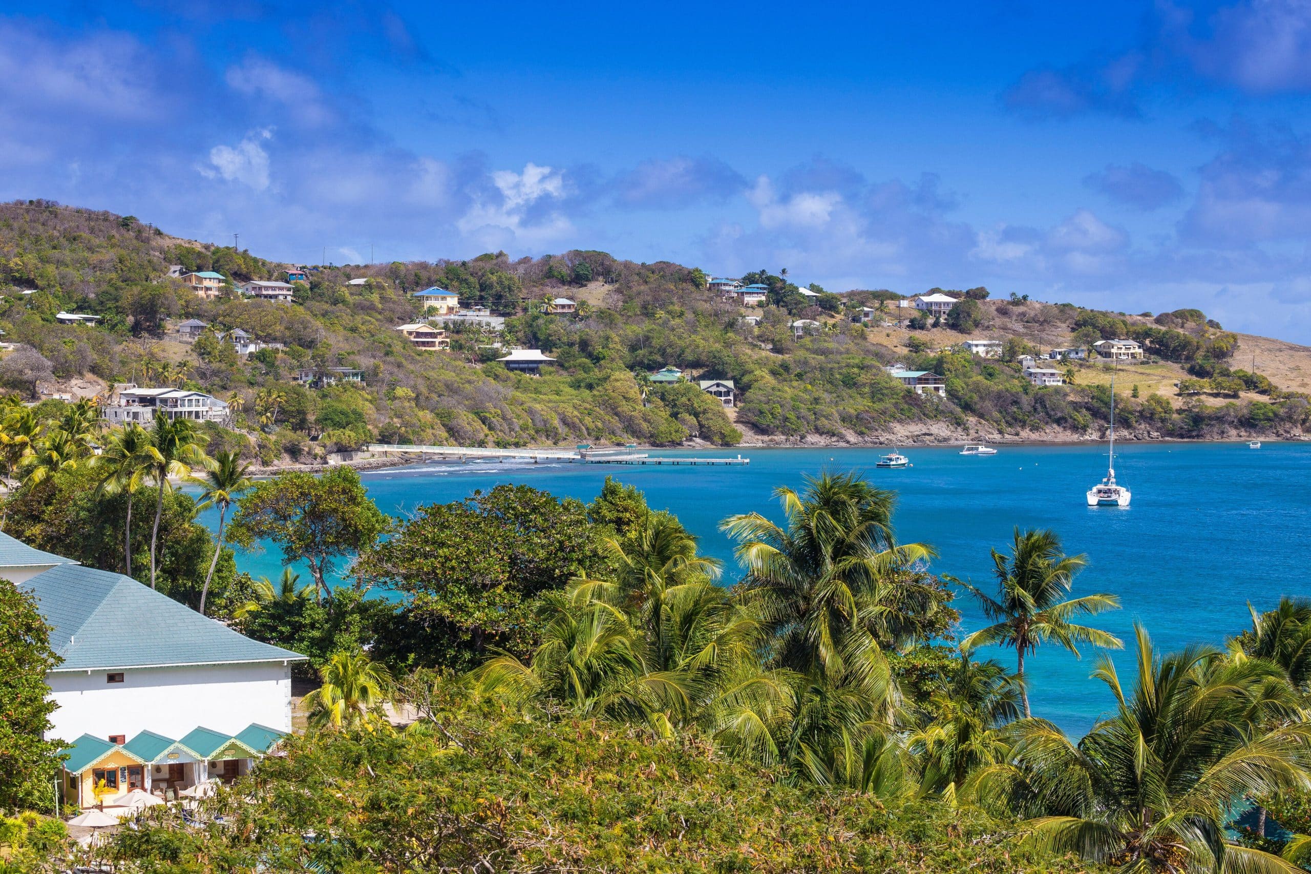 Tropical coastline with turquoise water, palm trees, and hillside homes at Saint Hilaire Point Estate Bequia overlooks a bay with anchored yachts under a blue sky dotted with scattered clouds. Photo