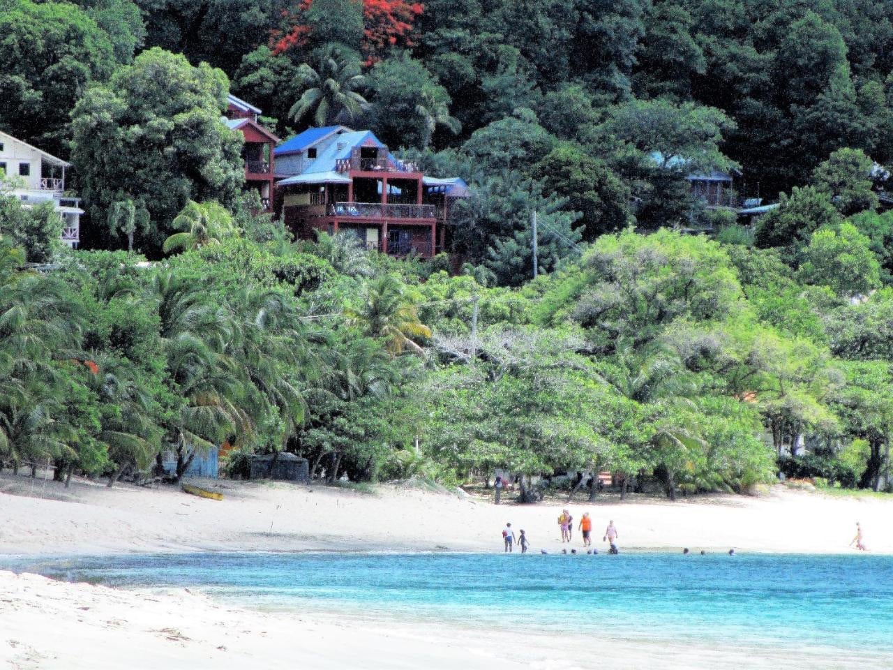 A tropical beach with turquoise water, white sand, and people near the shoreline; lush green trees and colourful houses—plus the charming Lower Bay Boutique Hotel & Villa for Sale—are nestled on a hill in the background. Photo